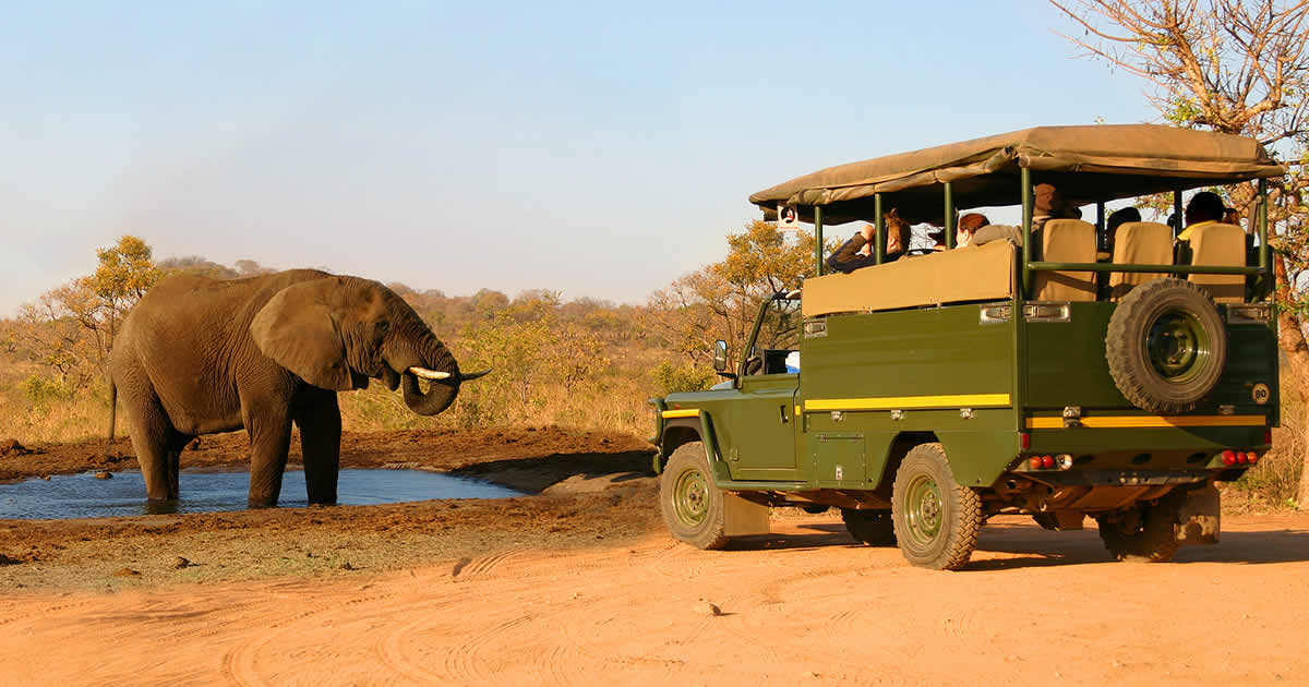 Paquete de viajes y safaris en Africa