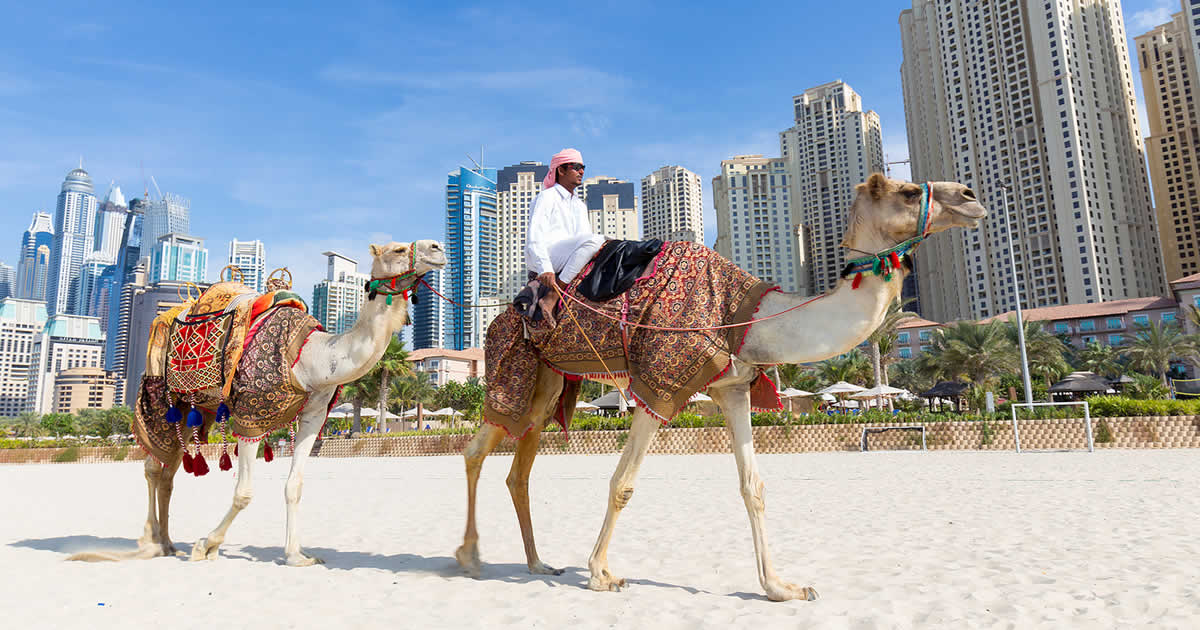 Paquete de viajes a Dubai